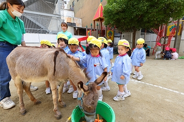 Keiai動物園