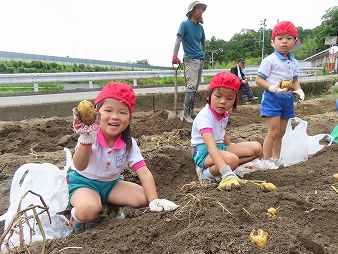 遠足(いぬ組)じゃがいも掘り・彩都宿久庄敬愛保育園