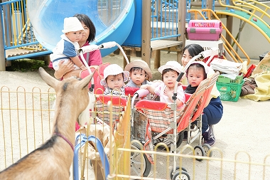 けいあい動物園