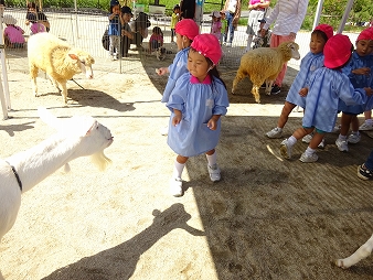 けいあい動物園